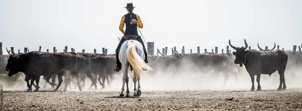 Saintes 20130712-0573