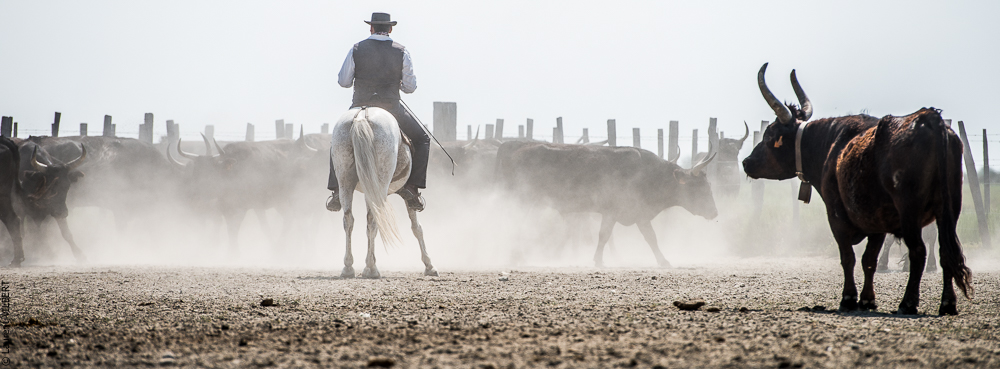 Saintes 20130712-0598