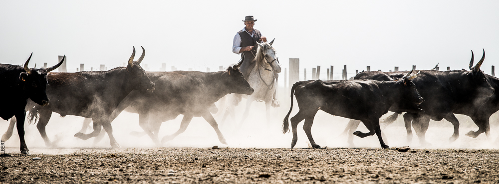 Saintes 20130712-0605