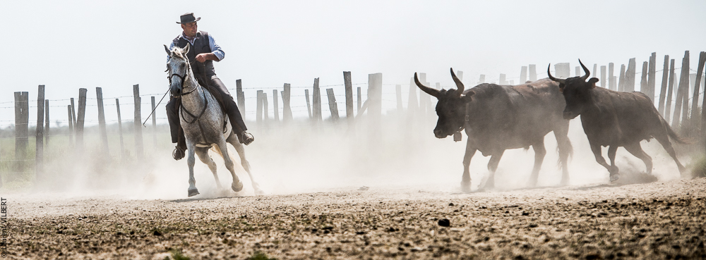Saintes 20130712-0607