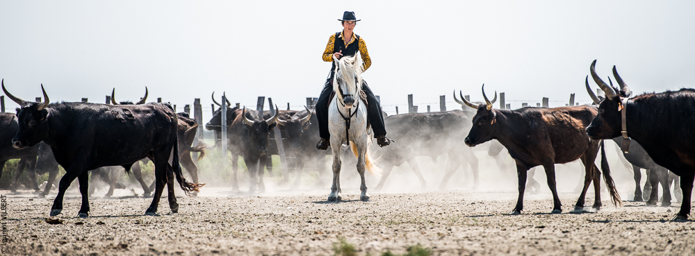 Saintes 20130712-0639
