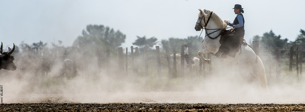 Saintes 20130712-0726