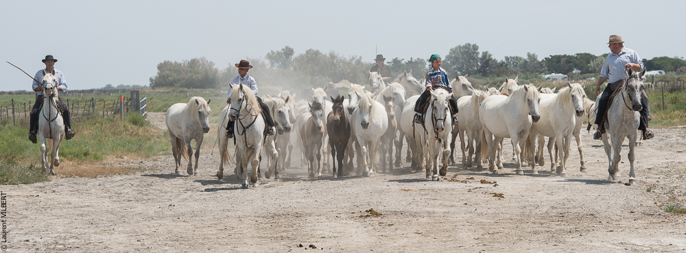 Saintes 20130712-0837
