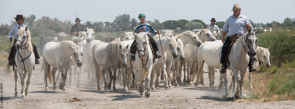 Saintes 20130712-0841