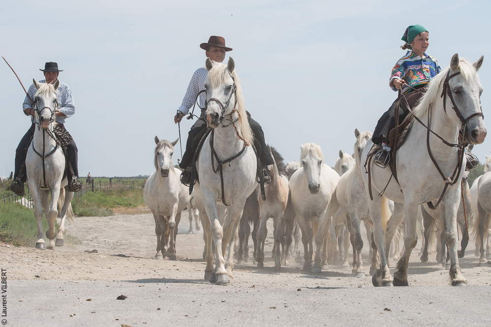 Saintes 20130712-0850