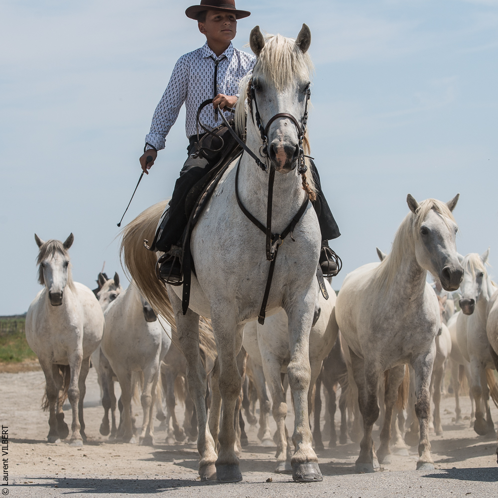 Saintes 20130712-0853
