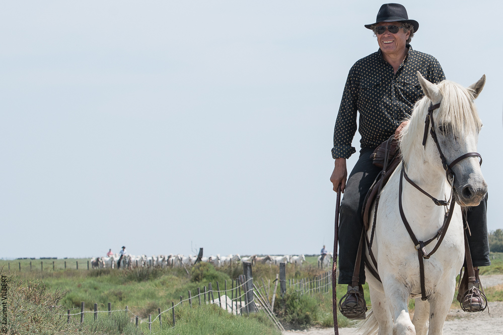 Saintes 20130712-0868