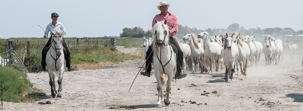 Saintes 20130712-0884