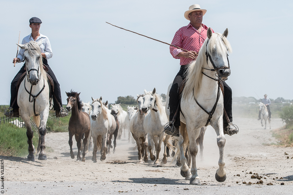 Saintes 20130712-0892
