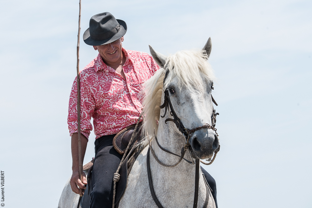 Saintes 20130712-0901