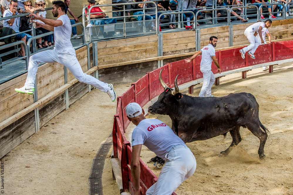 Vendargues 20160722-336