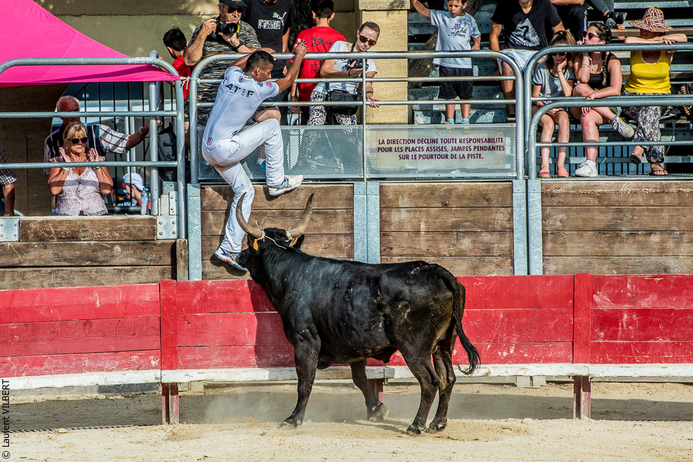 Vendargues 20160722-386