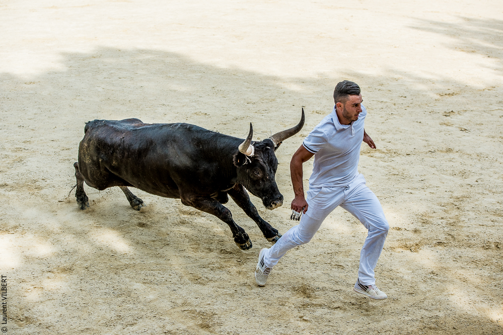 Vendargues 20160722-407