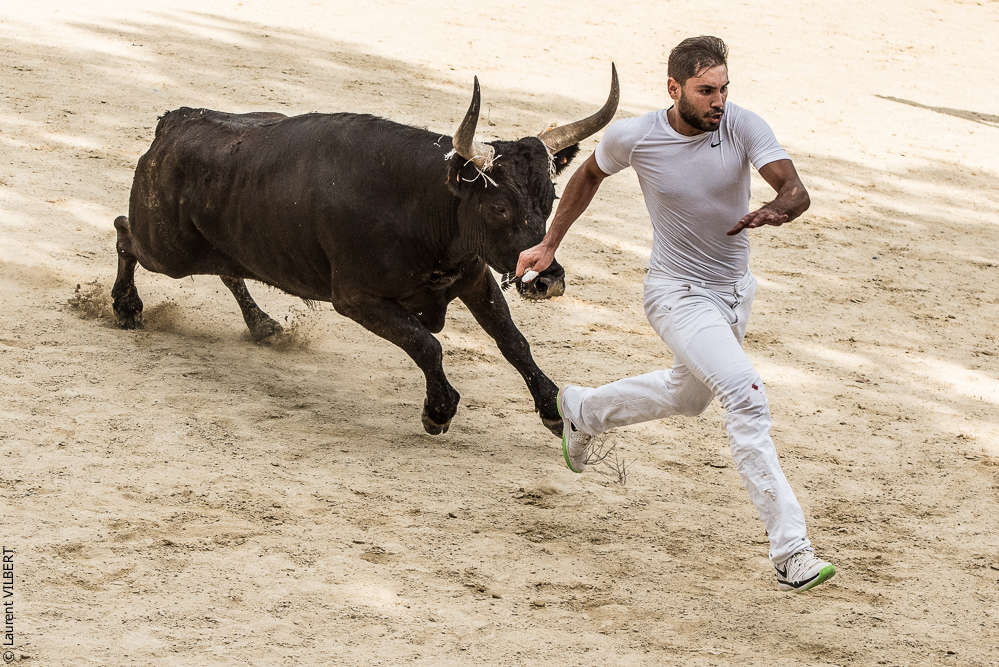 Vendargues 20160722-433