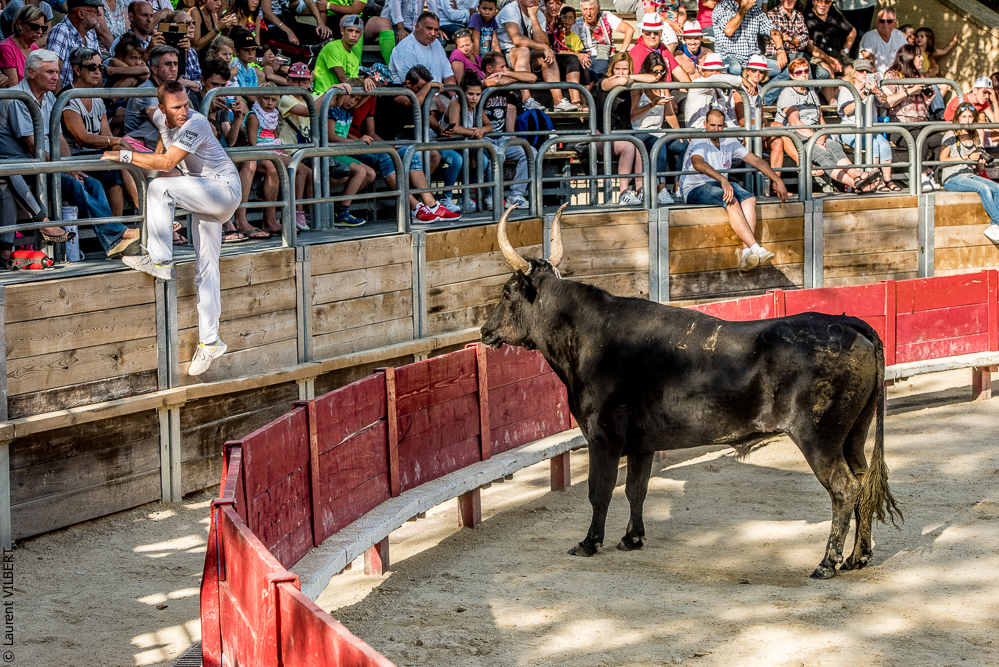 Vendargues 20160722-534