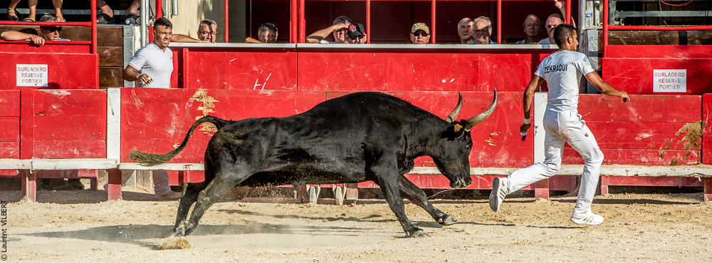 Vendargues 20160722-592