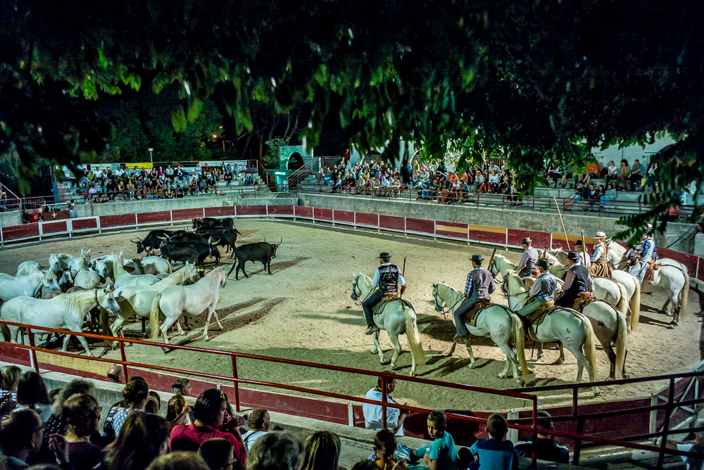 Vinuesa 20150722-0307