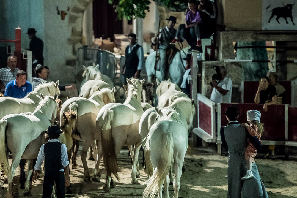 Vinuesa 20160722-1498