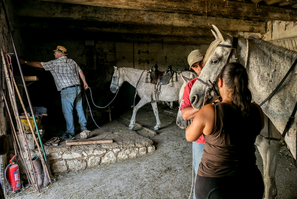 manade Chauvet 20150726-0018