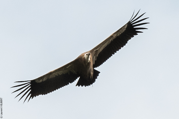 Espagne 20180817-0375