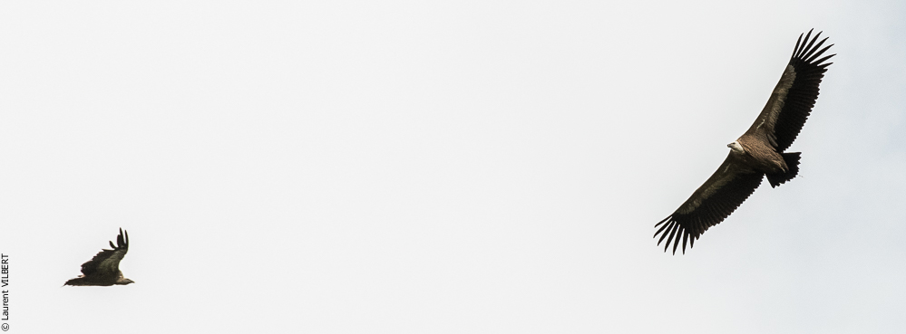 Espagne 20180817-0376