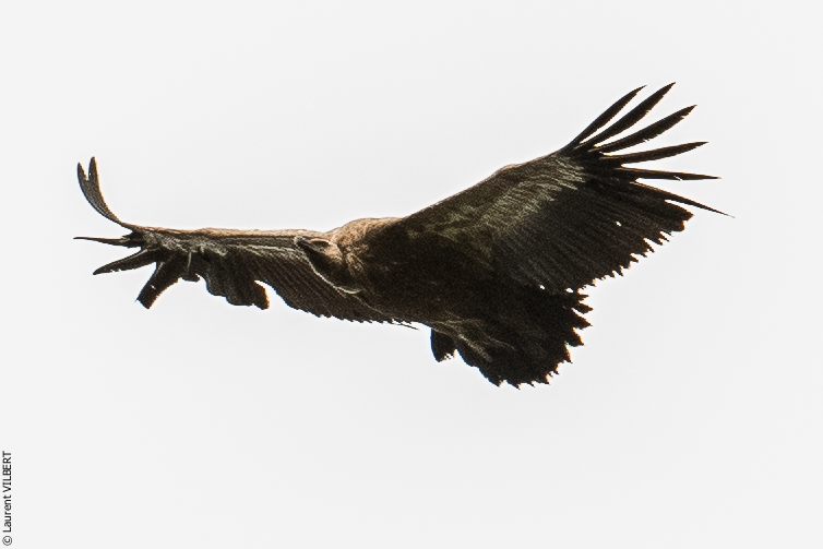 Espagne 20180817-0384