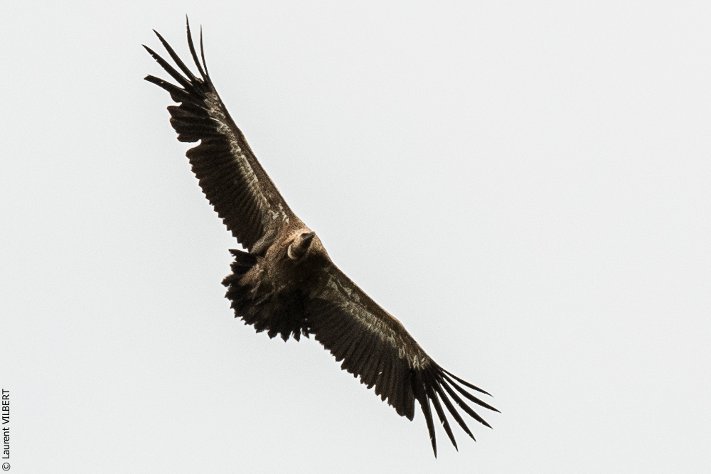 Espagne 20180817-0395