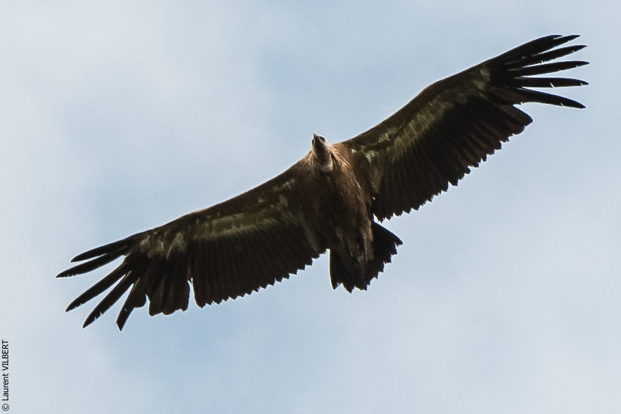 Espagne 20180817-0403