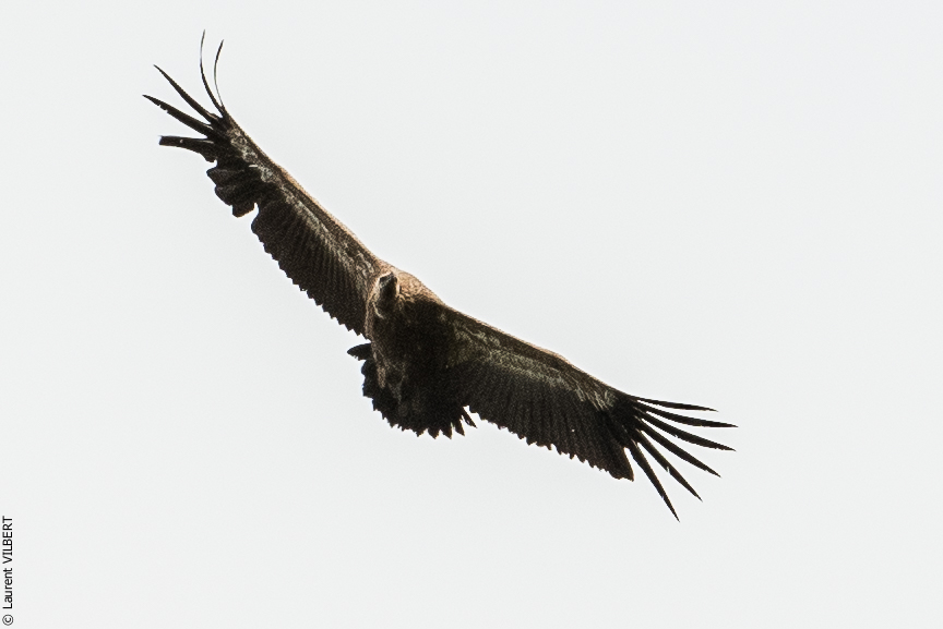 Espagne 20180817-0421