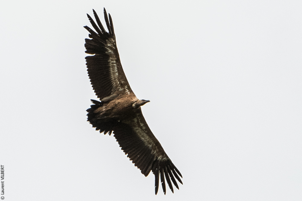 Espagne 20180817-0424