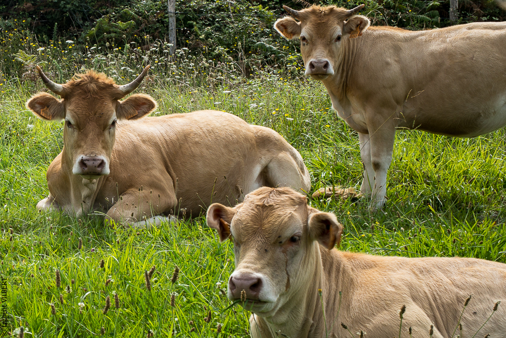 Espagne 20180825-0926