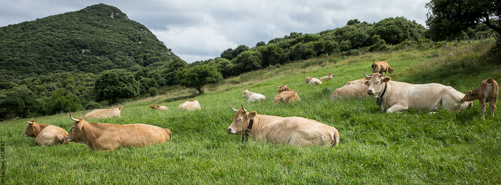 Espagne 20180825-0939