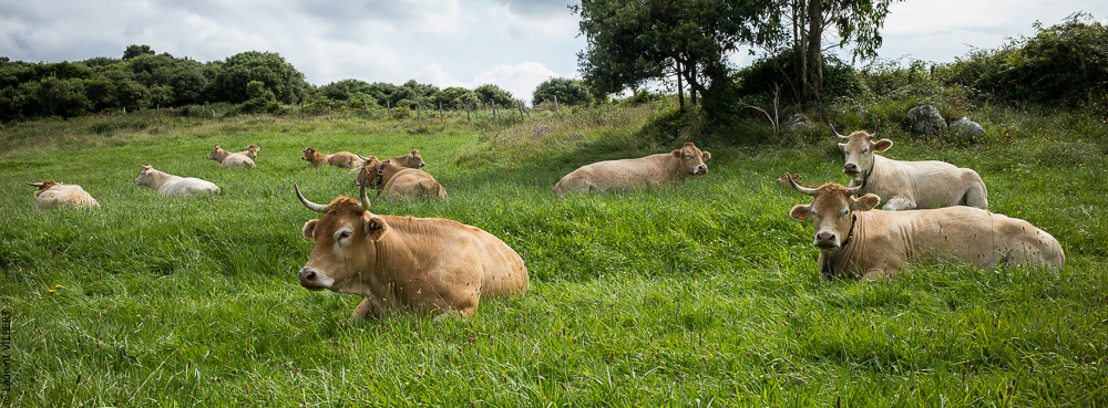 Espagne 20180825-0946