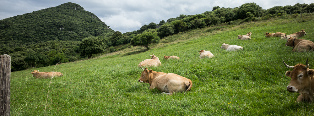 Espagne 20180825-0947