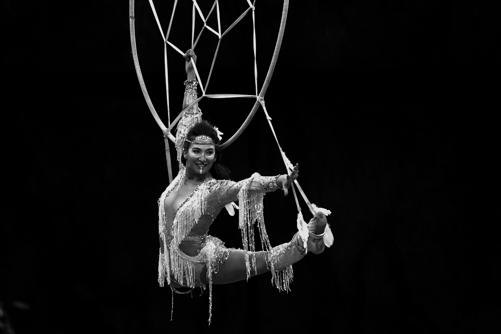 Cheval Passion 20220121-2114