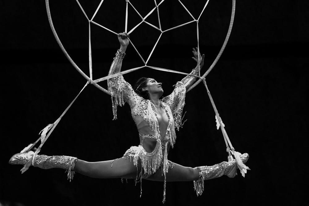 Cheval Passion 20220121-2133