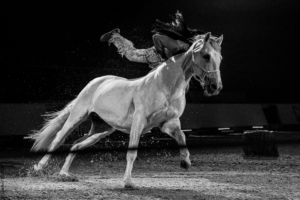 Cheval Passion 20220121-2654