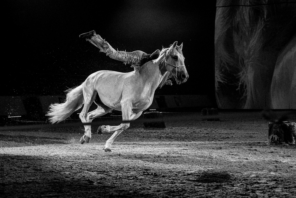 Cheval Passion 20220121-2655