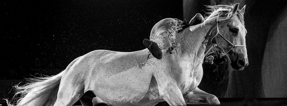 Cheval Passion 20220121-2656