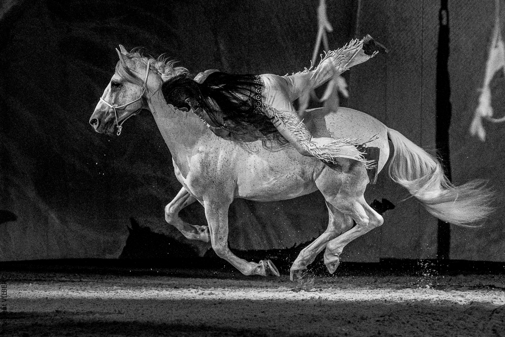 Cheval Passion 20220121-2658