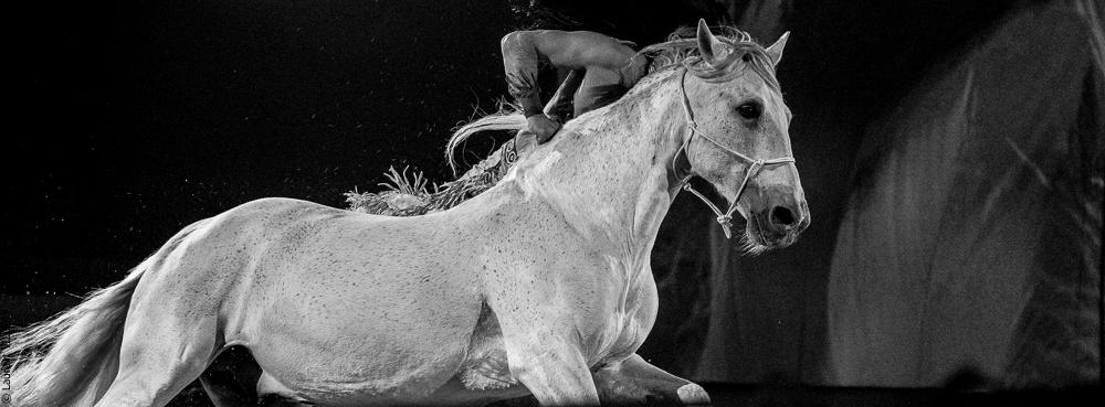 Cheval Passion 20220121-2659