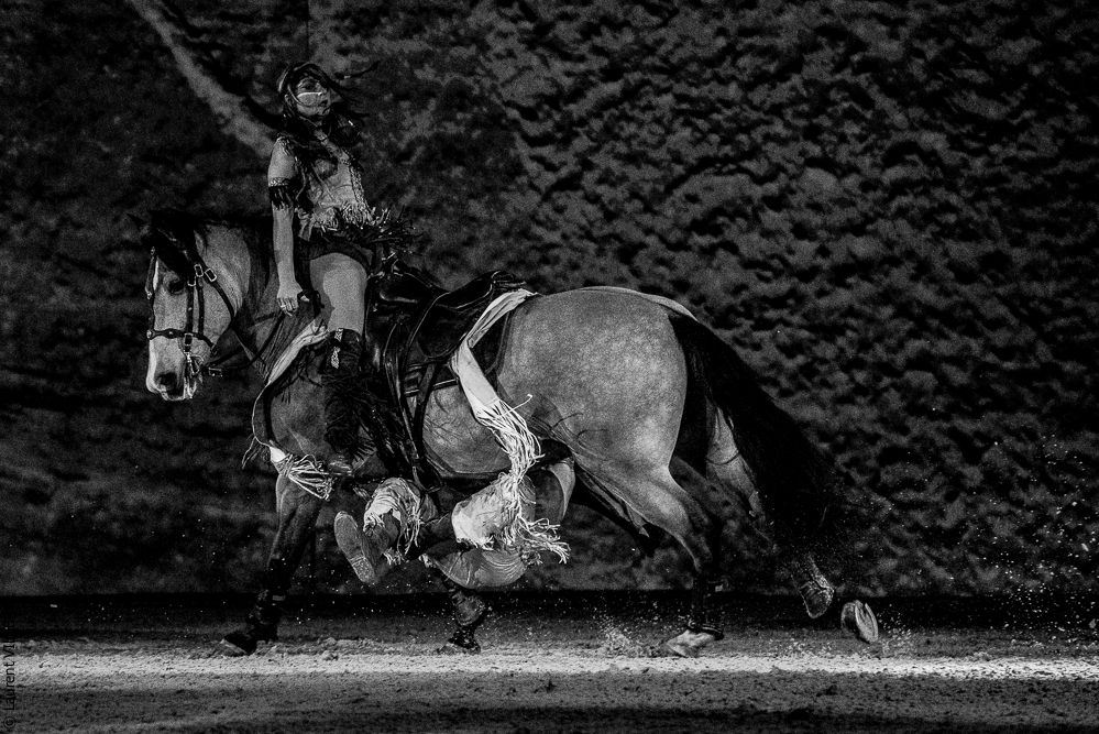 Cheval Passion 20220121-2677