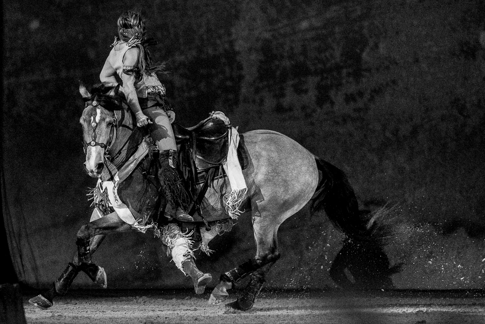 Cheval Passion 20220121-2681