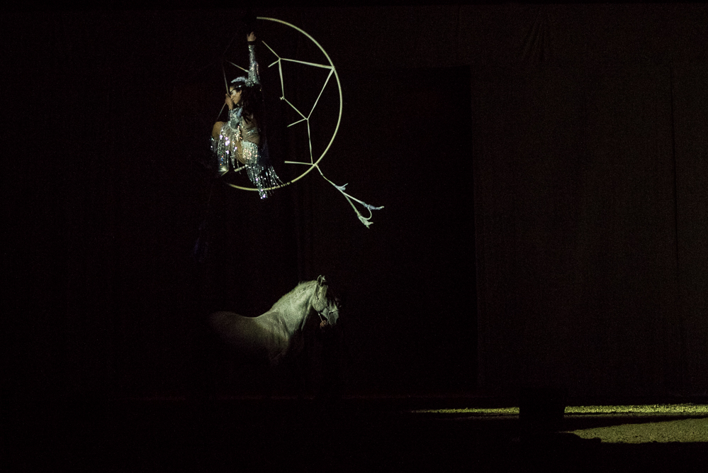 Cheval Passion 20220121-2781