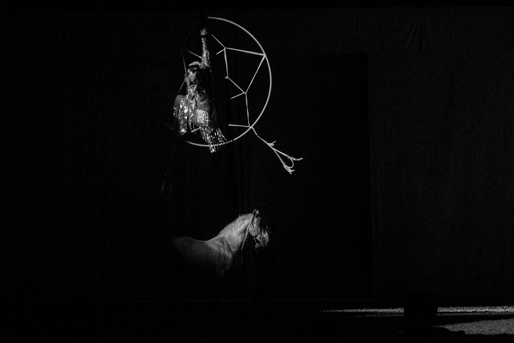 Cheval Passion 20220121-2781