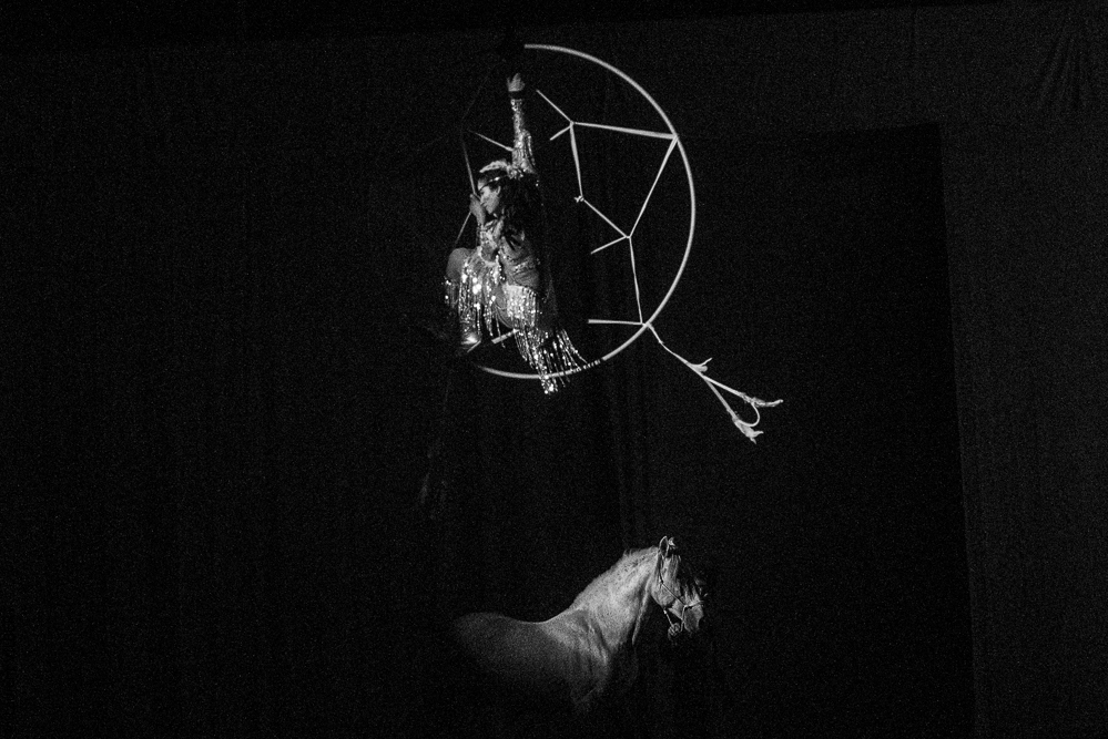 Cheval Passion 20220121-2781