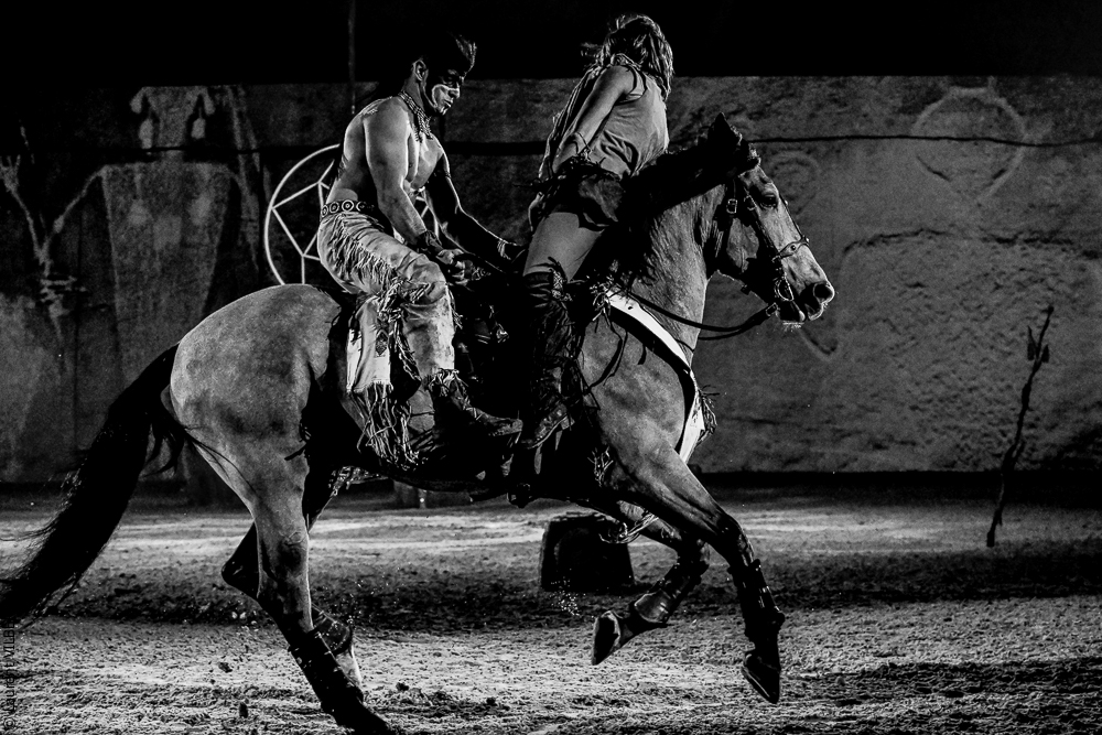 Cheval Passion 20220122-4877