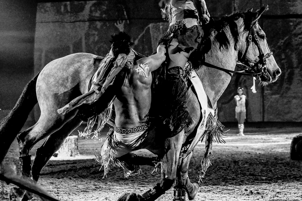 Cheval Passion 20220122-4883