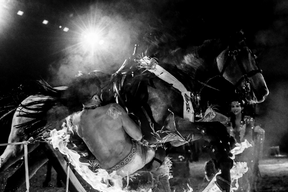 Cheval Passion 20220122-4915