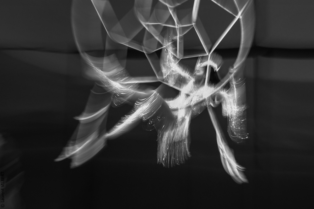 Cheval Passion 20220123-5587